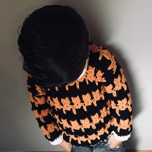 Cat stitch sweater for children PATTERN